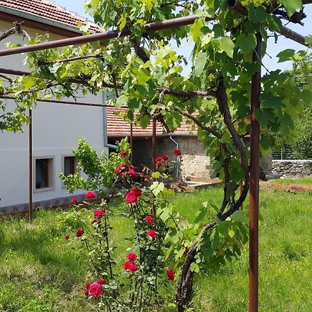 Guest House Art Eco Land Ganchovets Εξωτερικό φωτογραφία