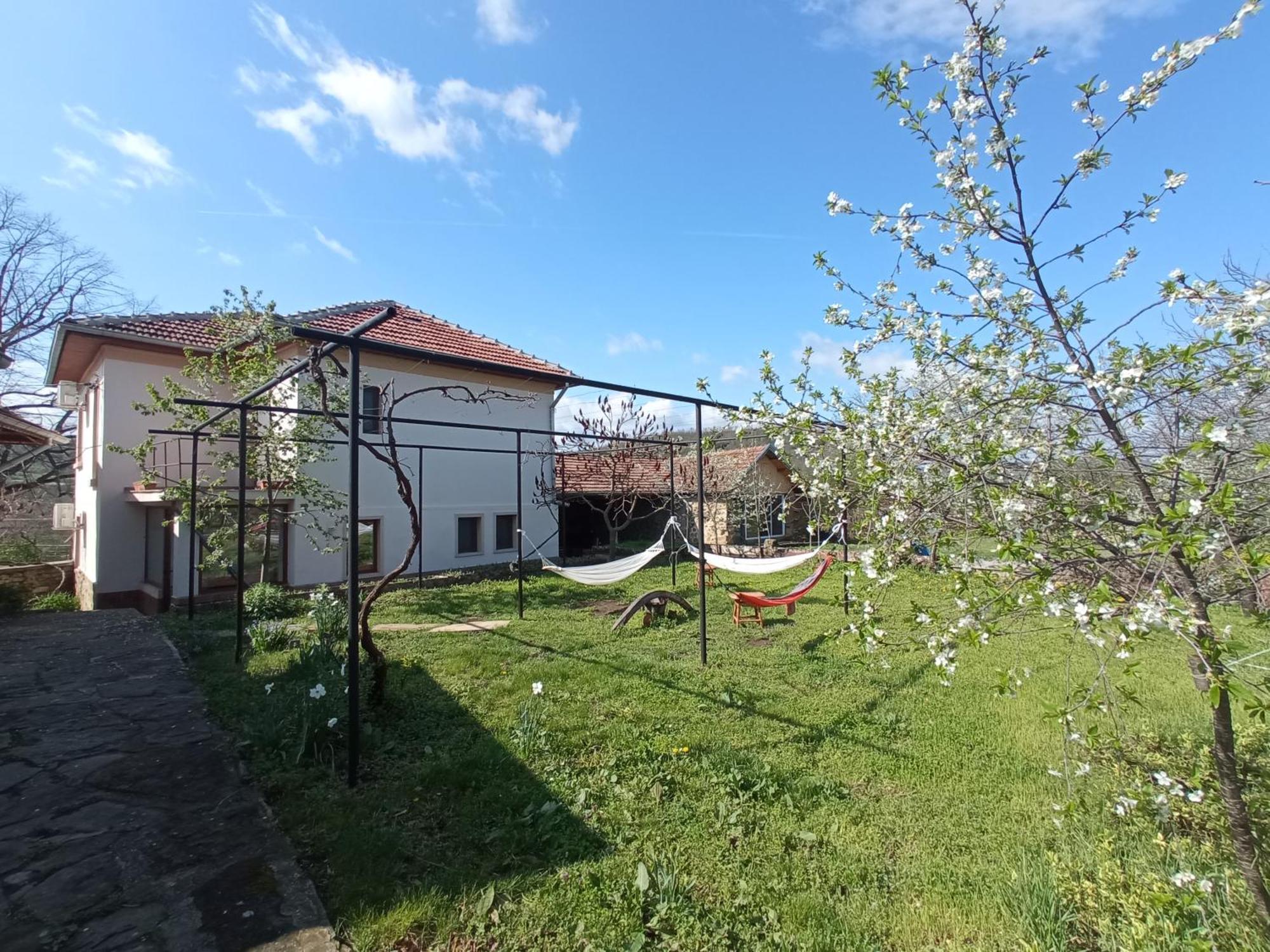 Guest House Art Eco Land Ganchovets Εξωτερικό φωτογραφία