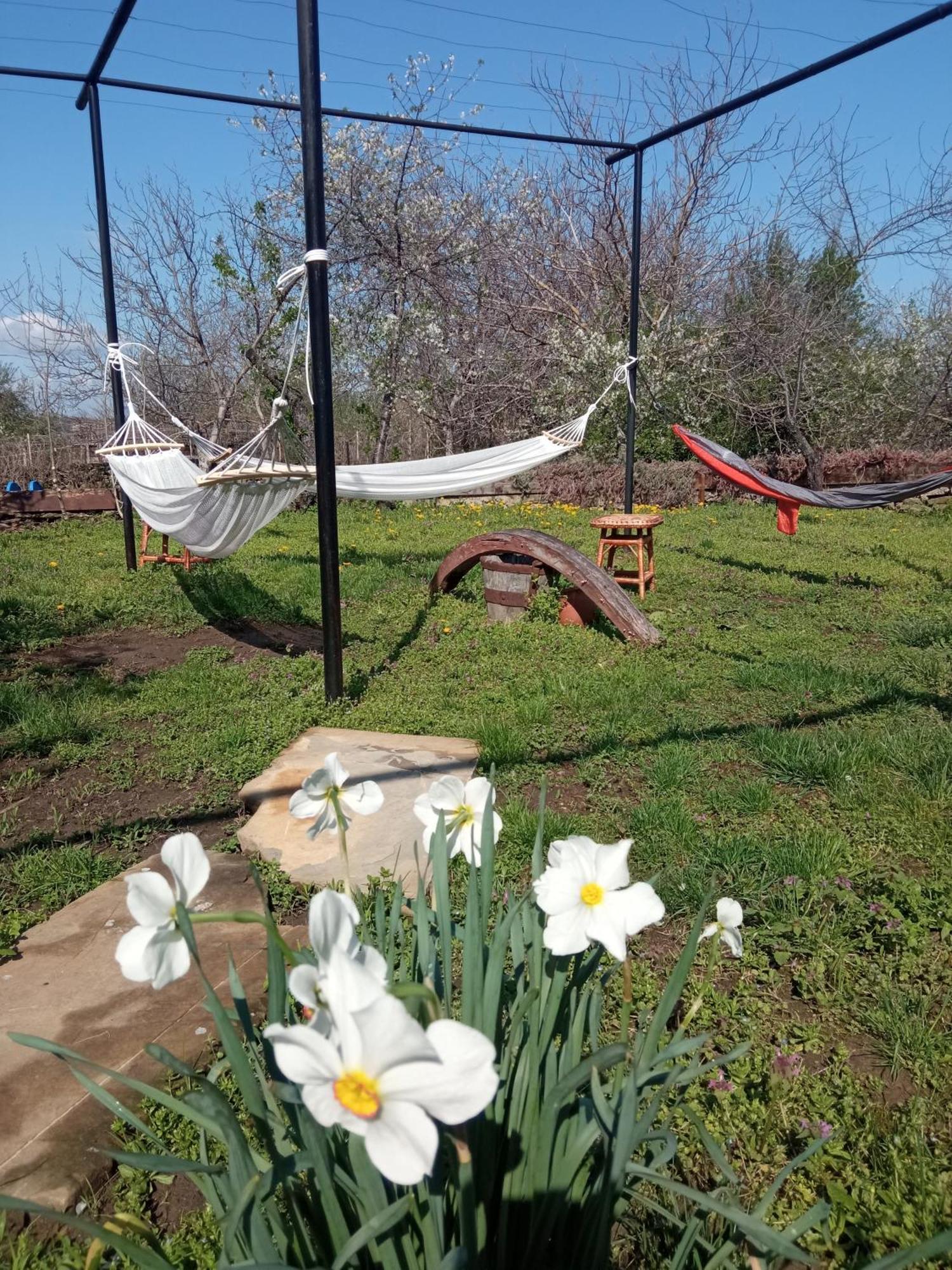 Guest House Art Eco Land Ganchovets Εξωτερικό φωτογραφία