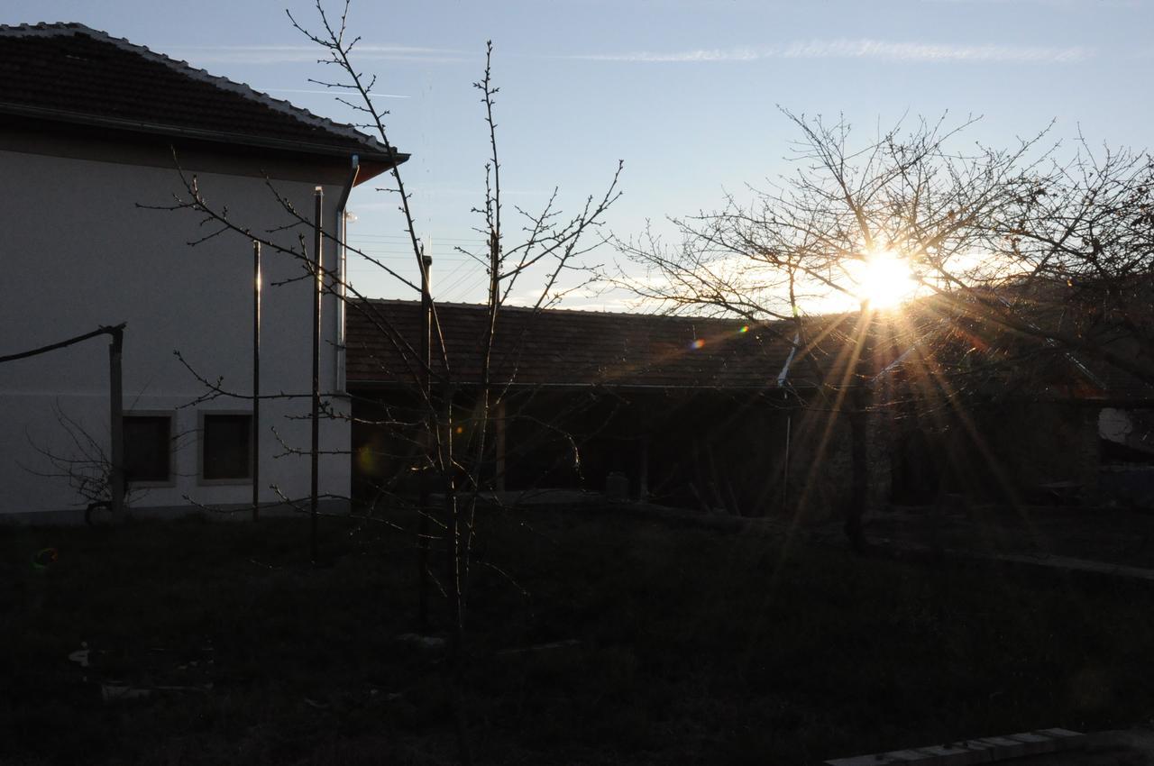 Guest House Art Eco Land Ganchovets Εξωτερικό φωτογραφία