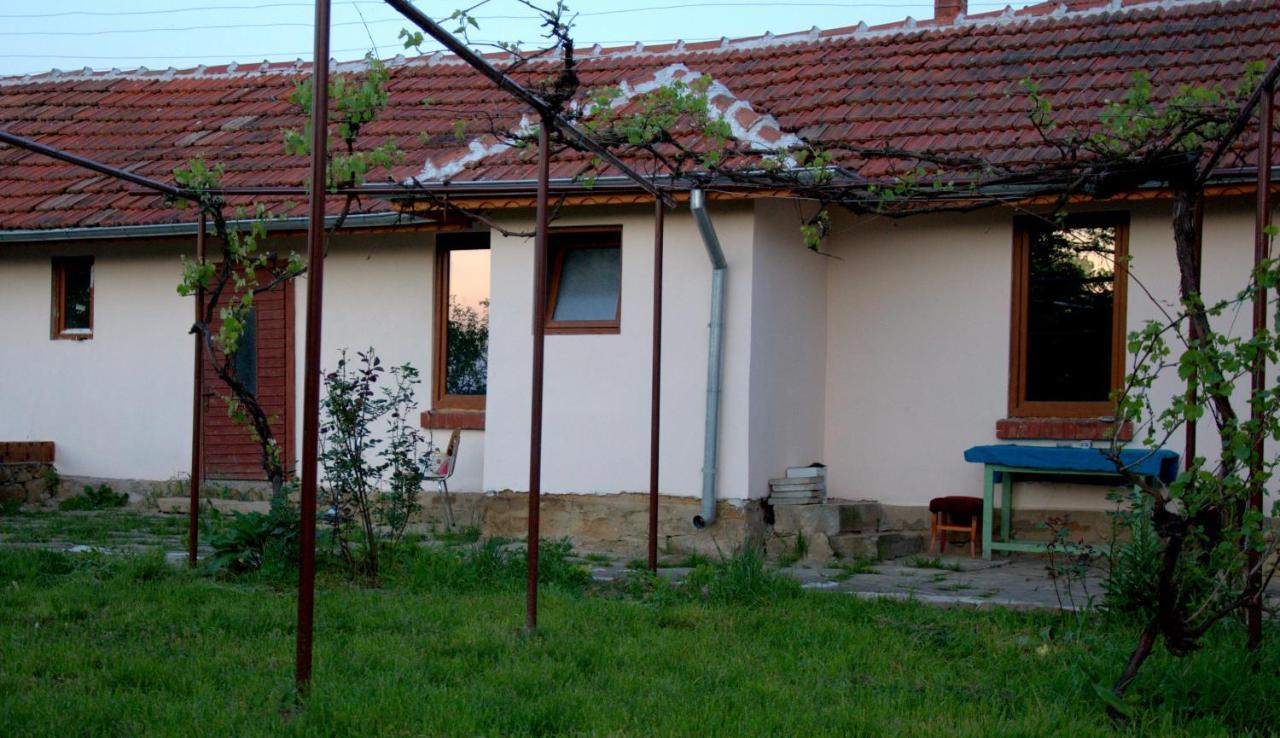 Guest House Art Eco Land Ganchovets Εξωτερικό φωτογραφία