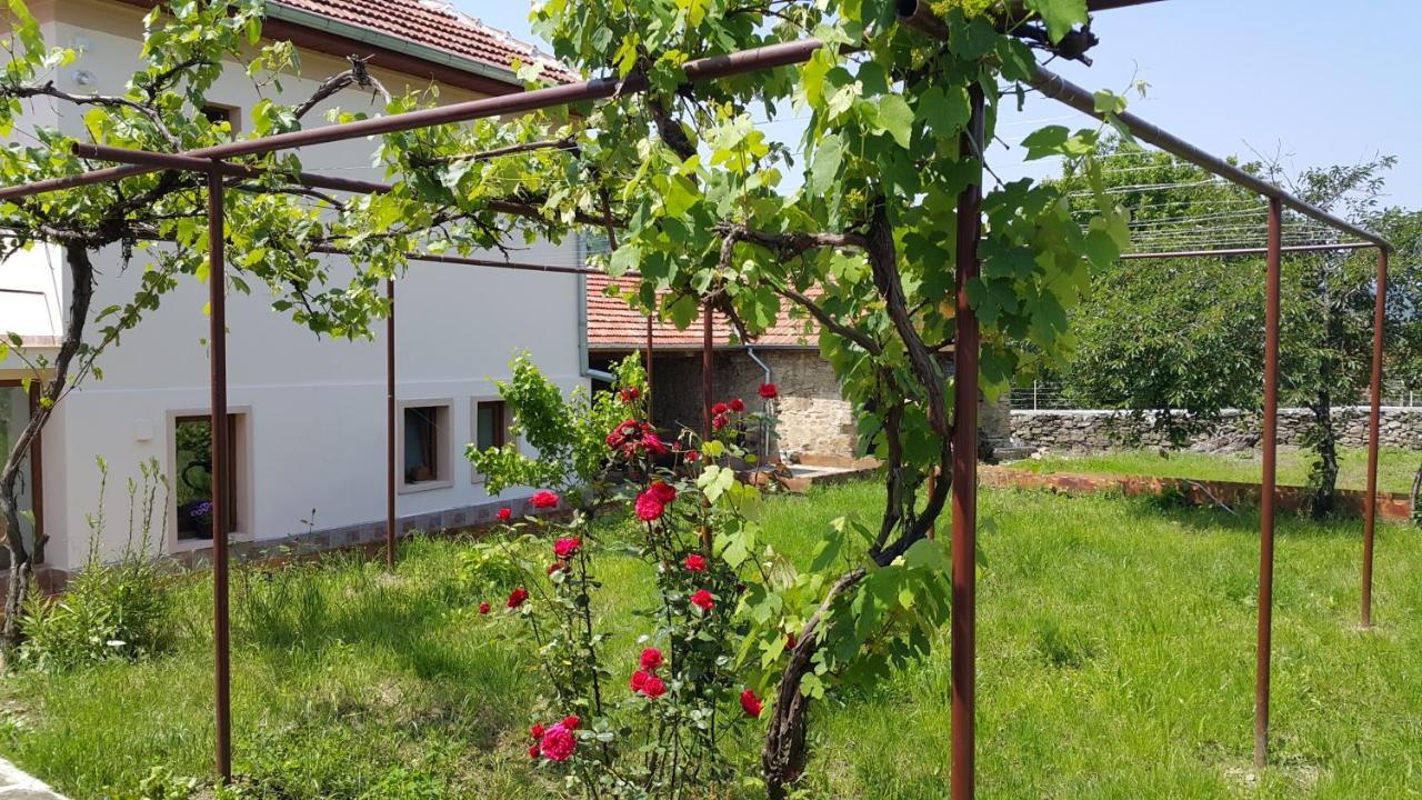 Guest House Art Eco Land Ganchovets Εξωτερικό φωτογραφία